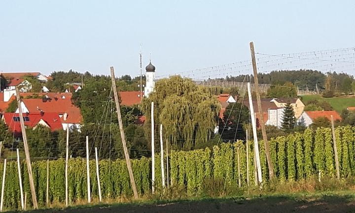 Holledauer Wirtshaus